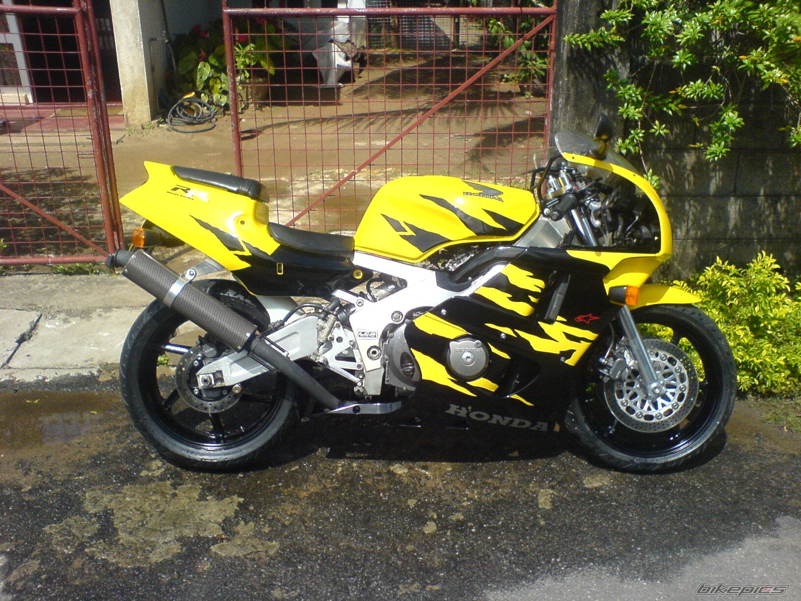 Photo 1553233