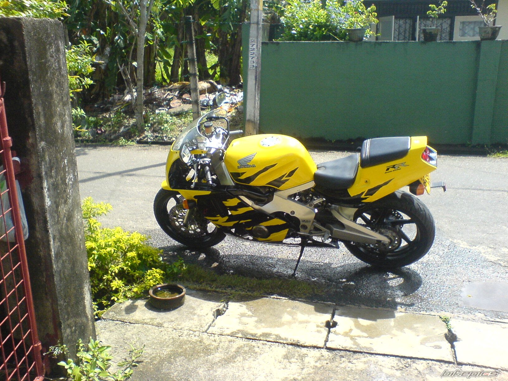 Photo 1553234