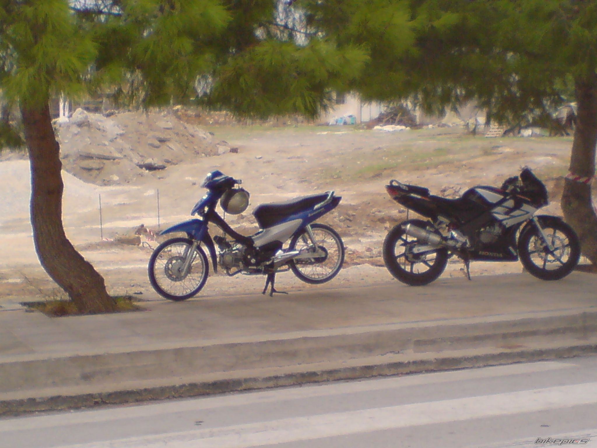 Photo 1553247