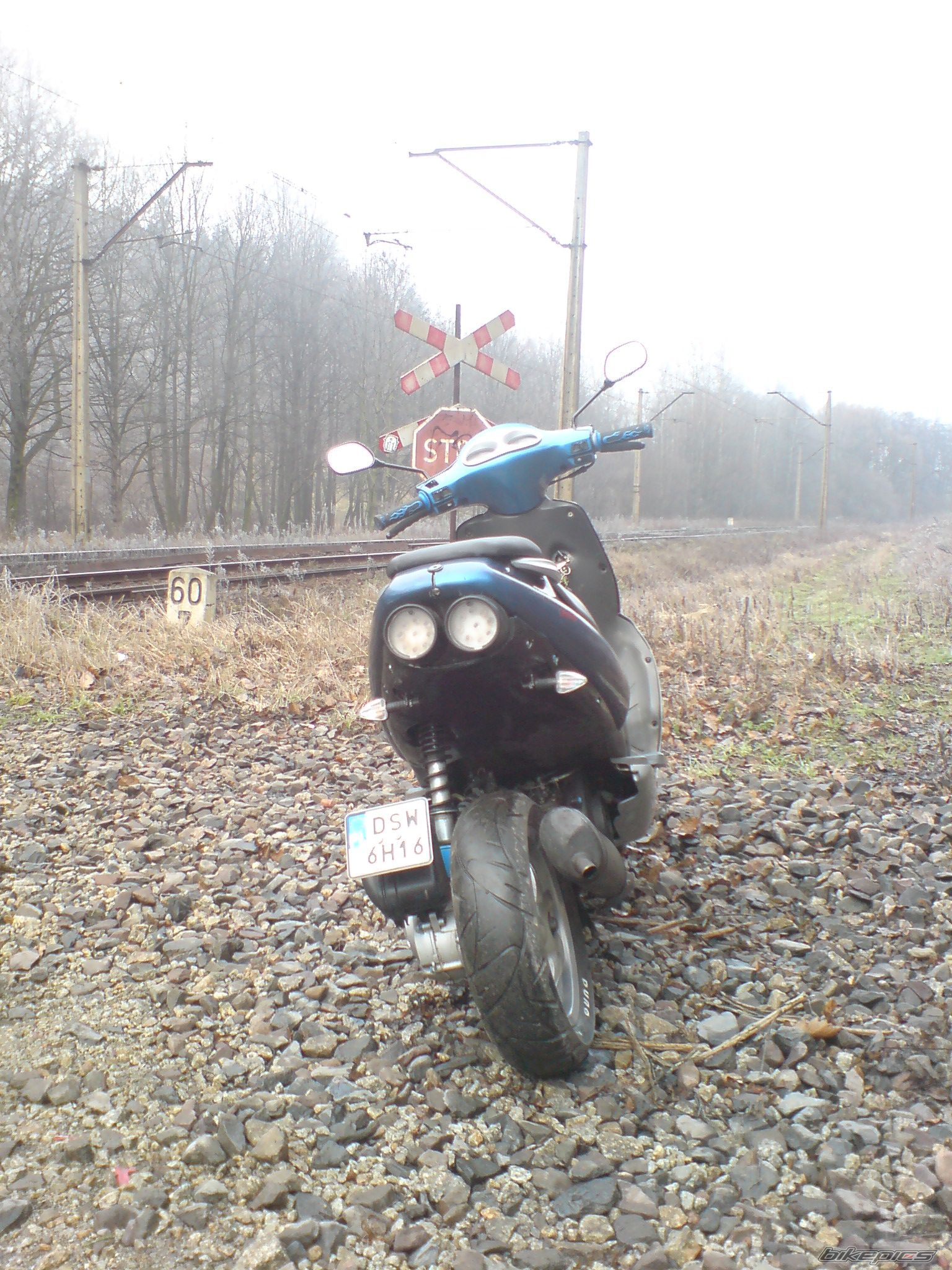 Photo 1553282