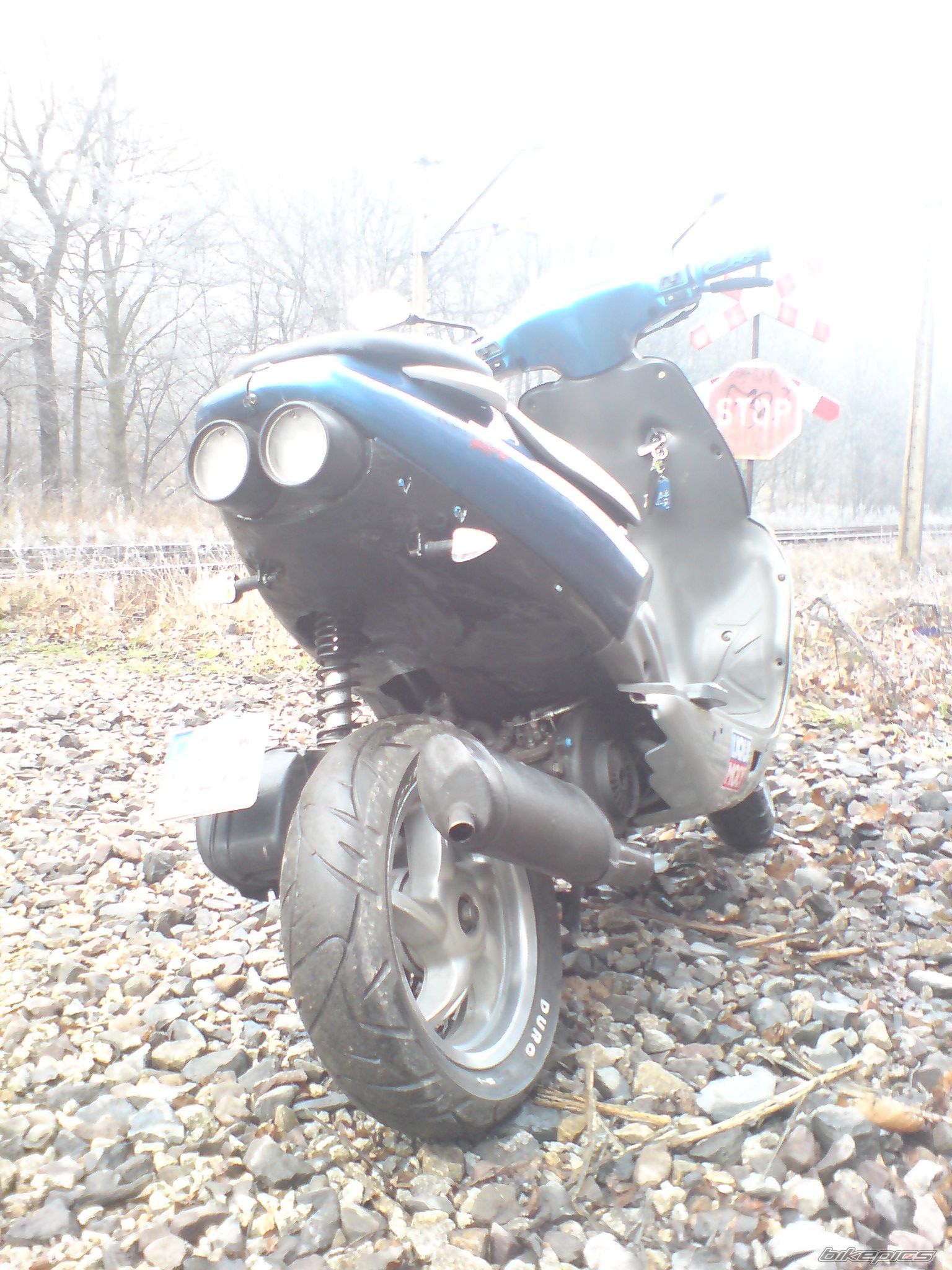 Photo 1553293