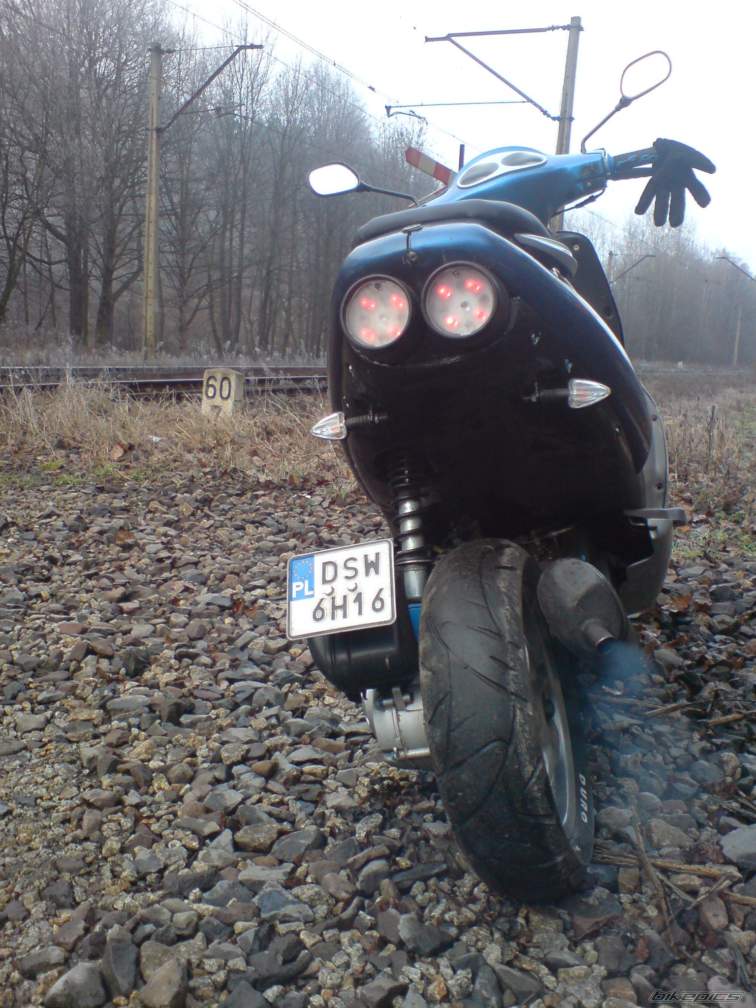 Photo 1553304