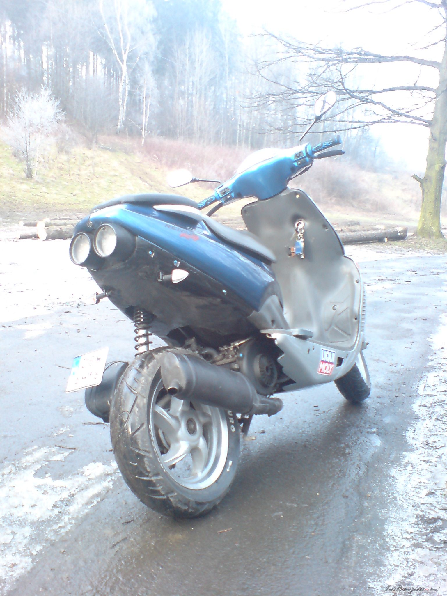 Photo 1553305