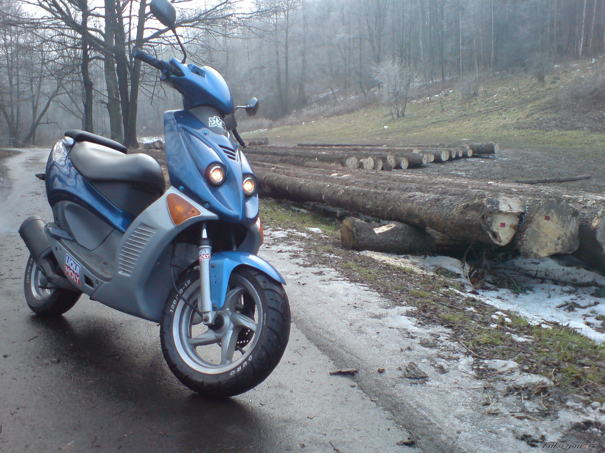 Photo 1553310