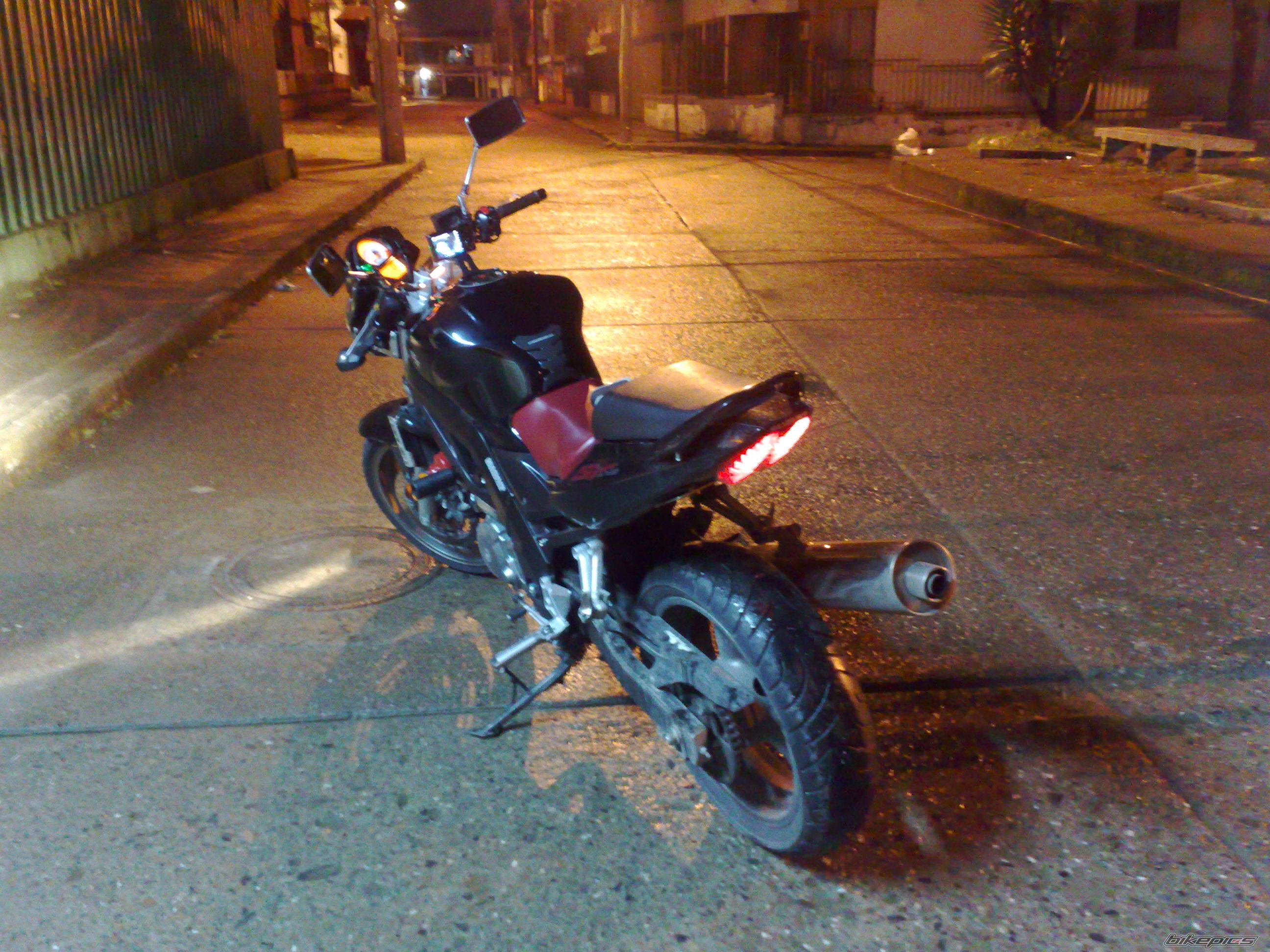 Photo 1553417