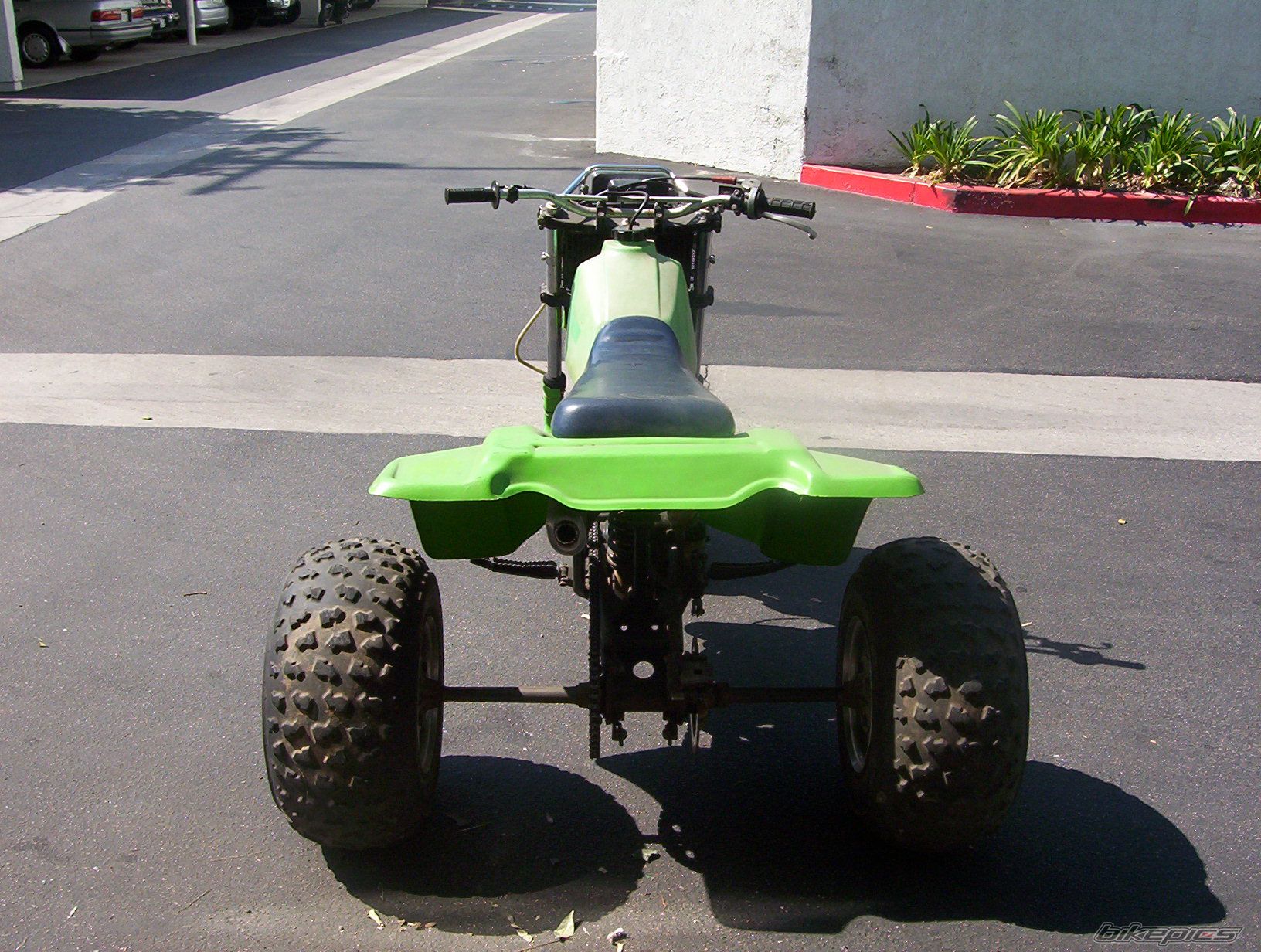 Photo 1553421