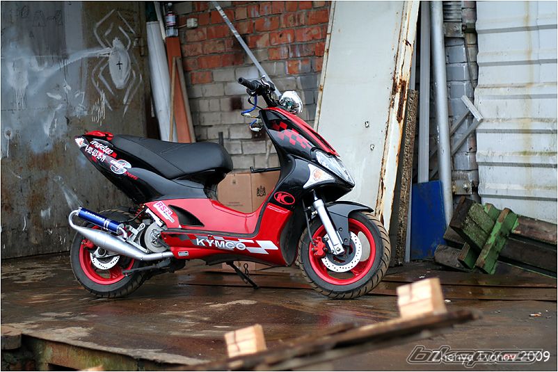 Photo 1553437