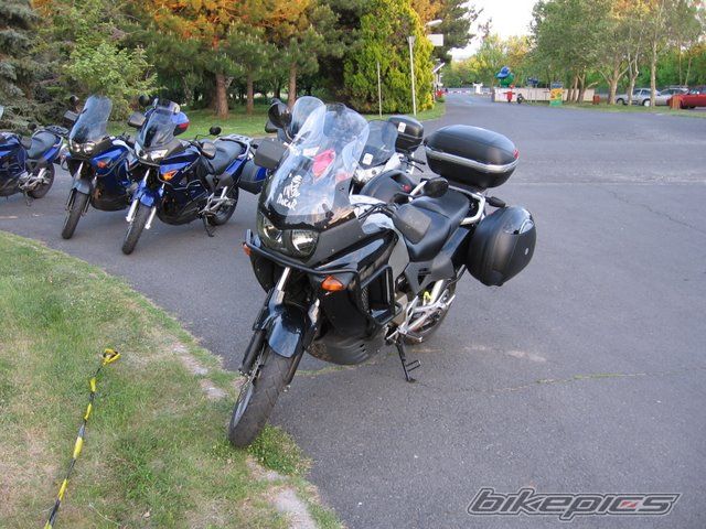 Photo 1553442