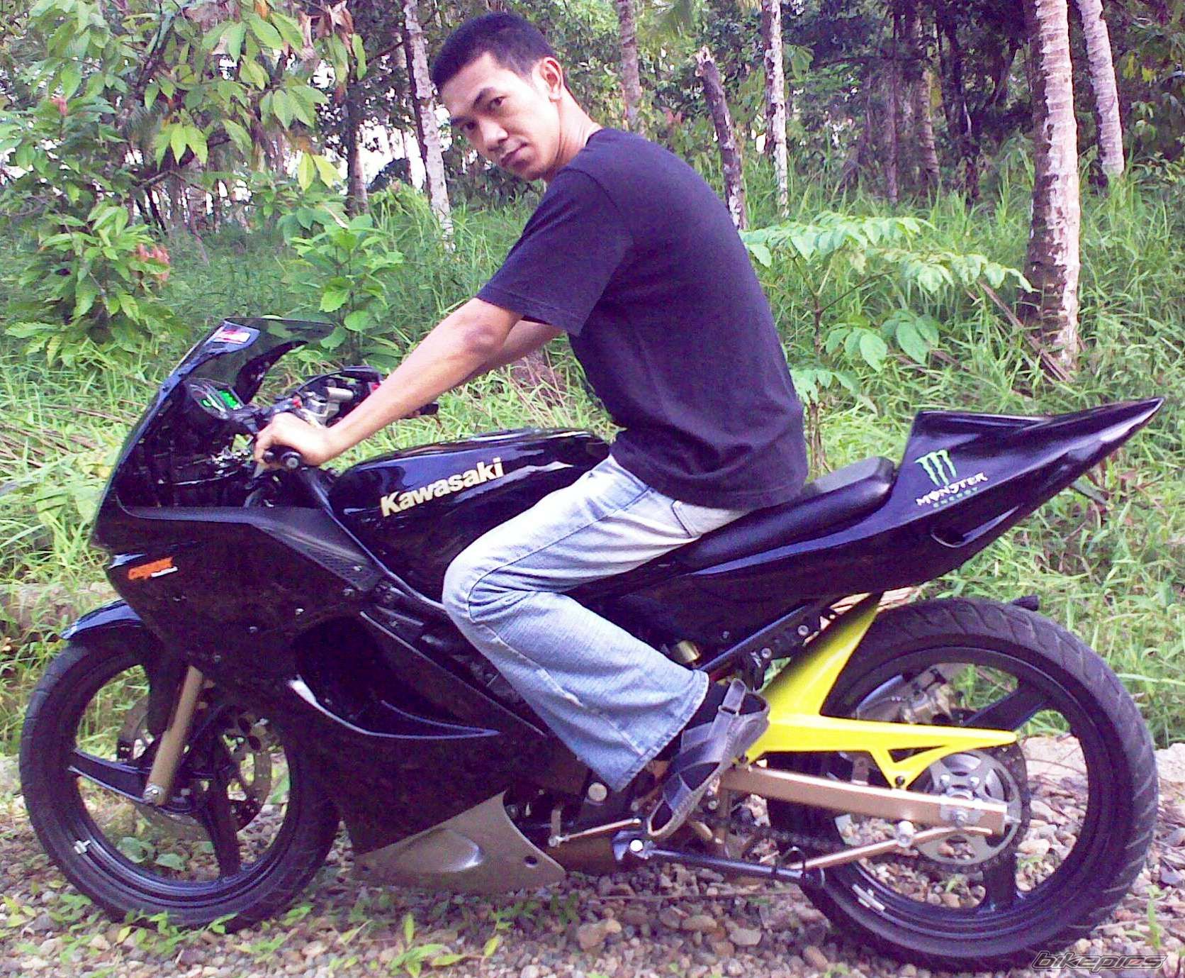 Photo 1553464