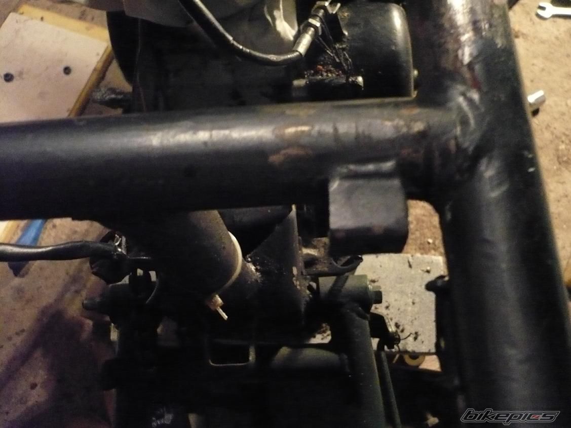 Photo 1553475