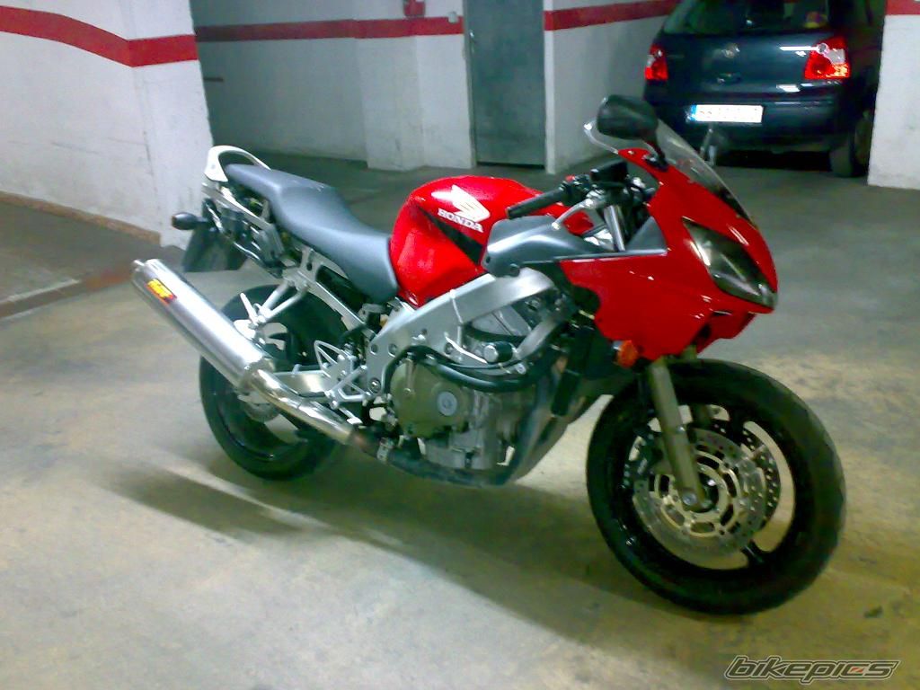 Photo 1553509