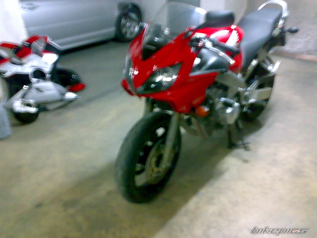 Photo 1553511