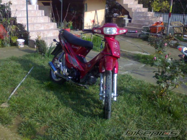 Photo 1553561