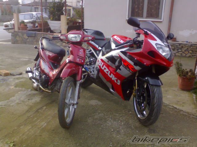 Photo 1553566