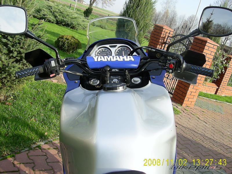 Photo 1553610