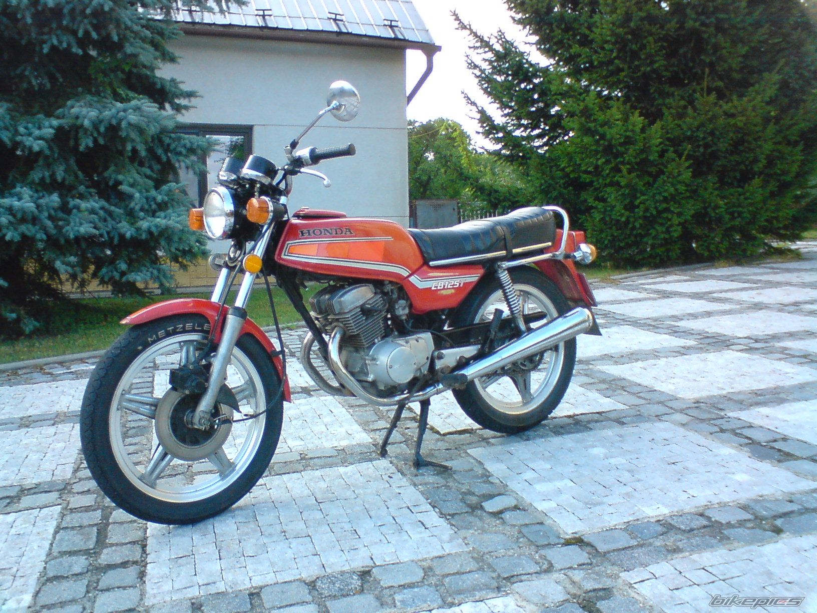 Photo 1553713