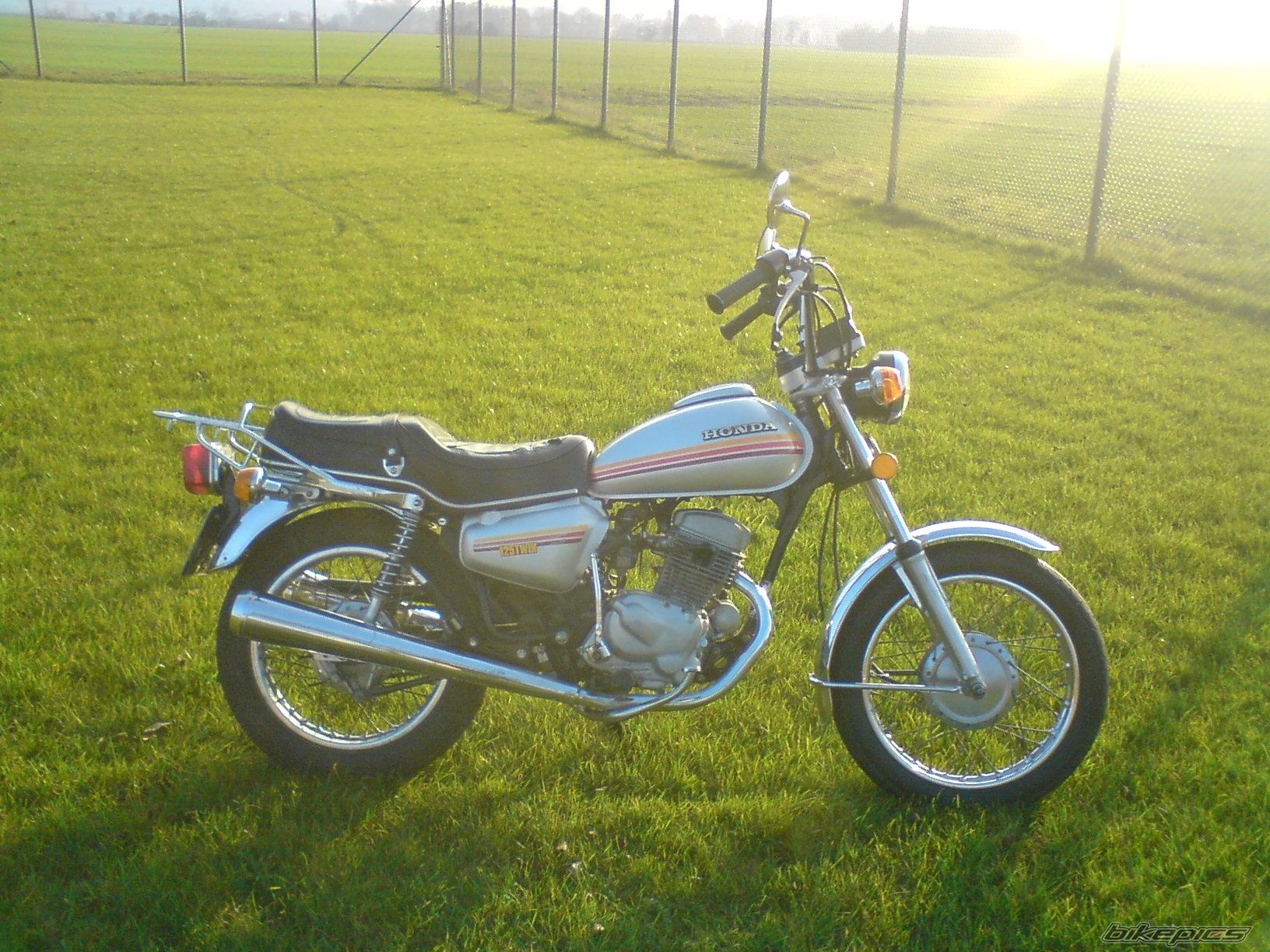Photo 1553716