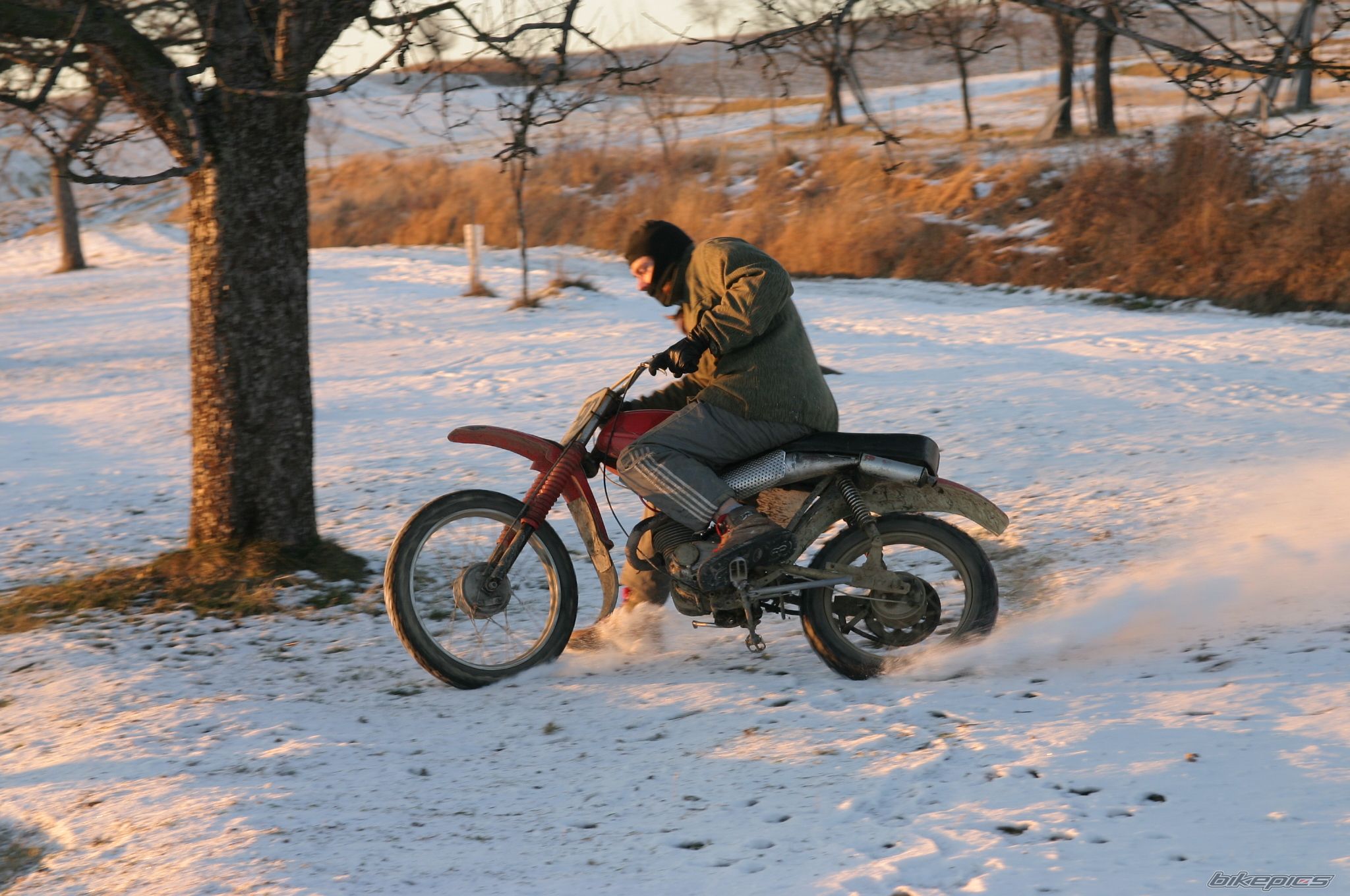 Photo 1553720