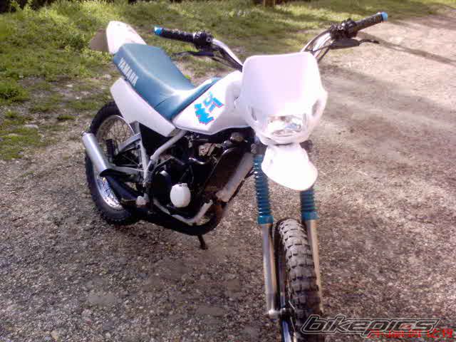 Photo 1553721