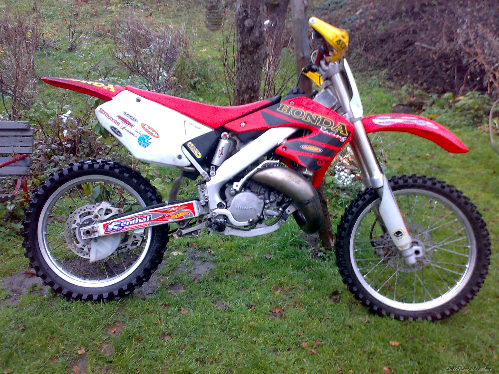 Photo 1553775