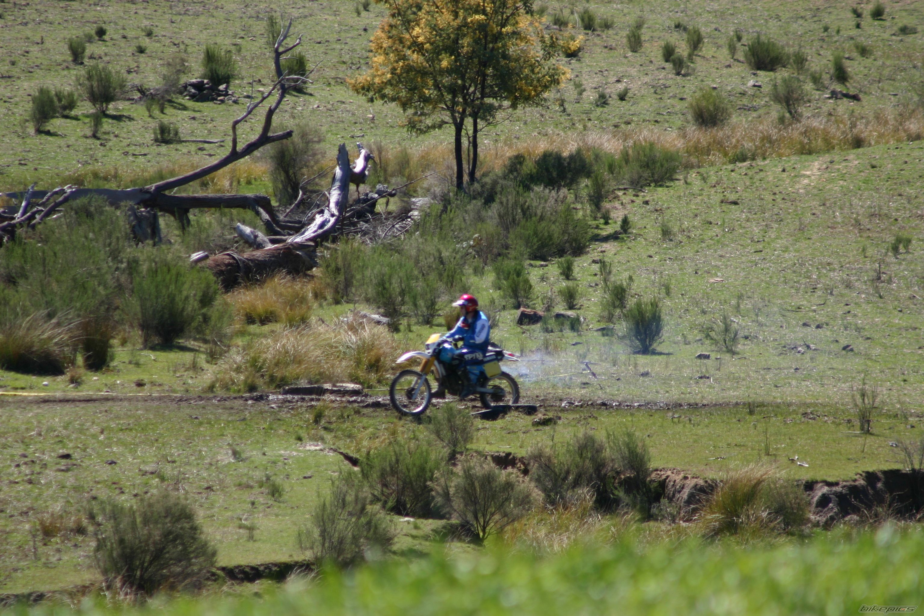 Bike Photo 1553901