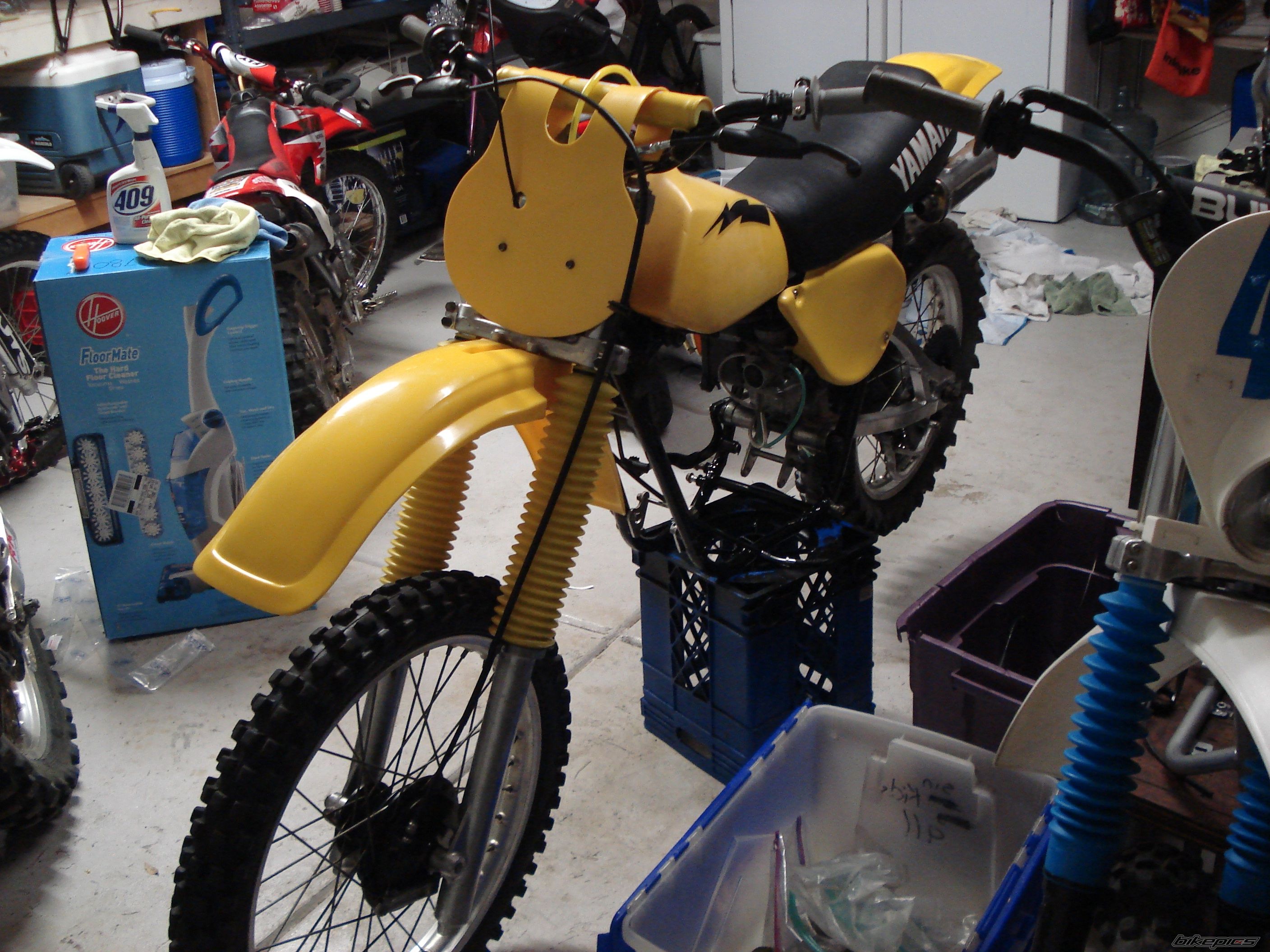 Photo 1553908