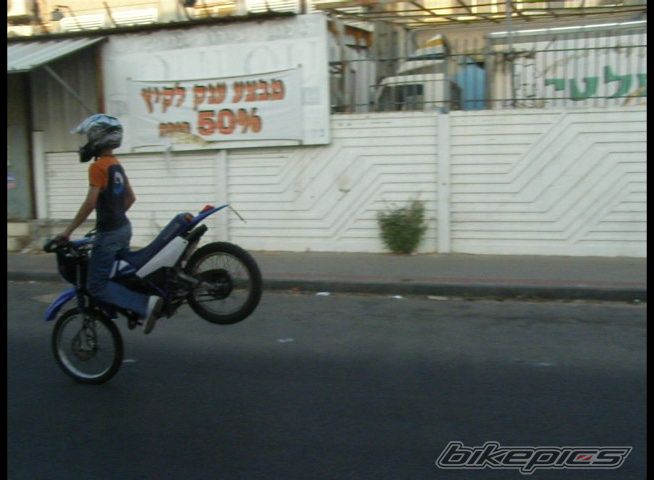 Photo 1553968