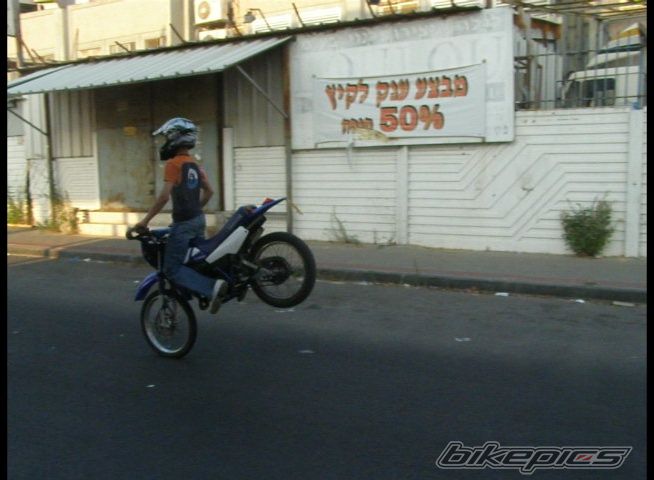 Photo 1553969