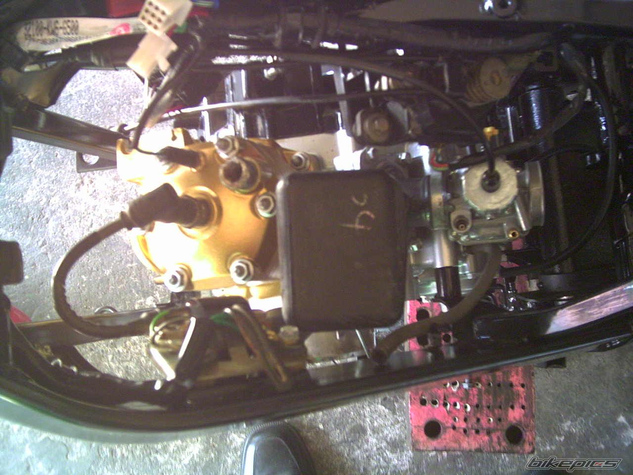 Photo 1553980