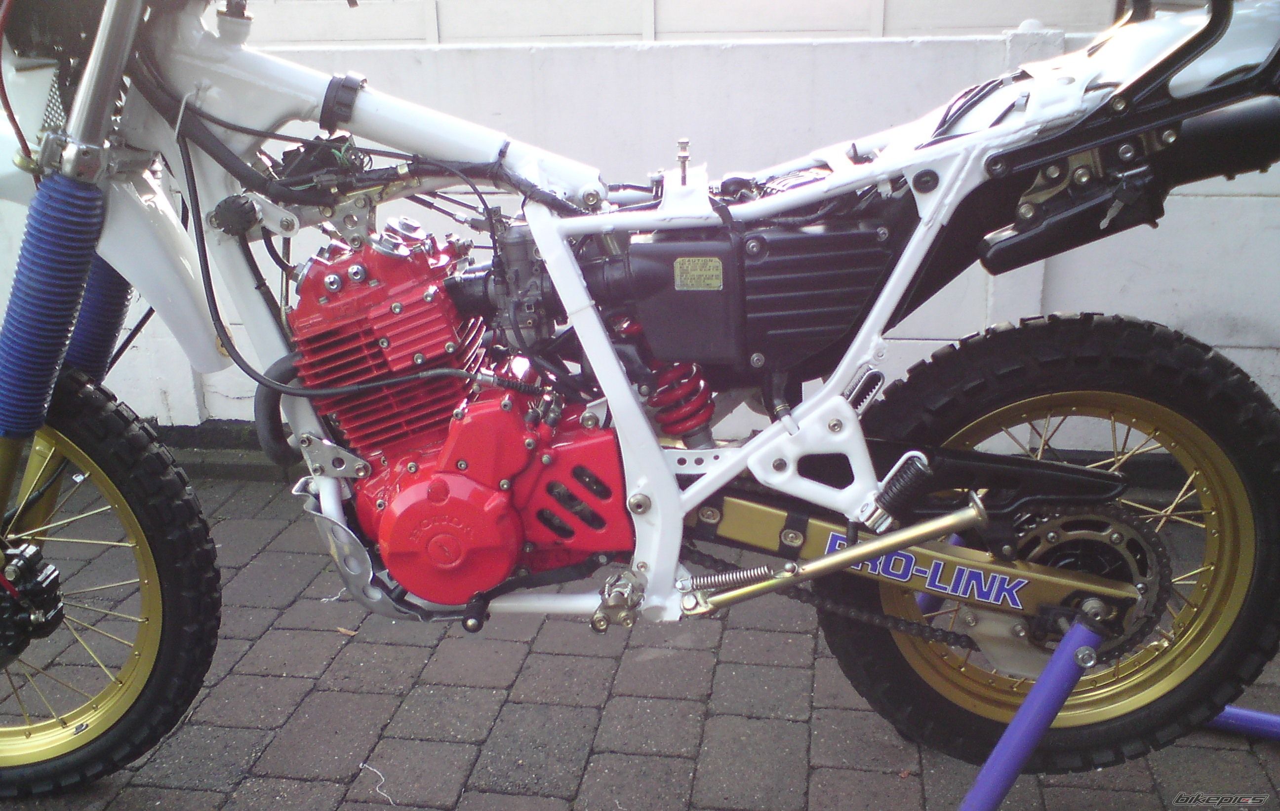 Photo 1554040