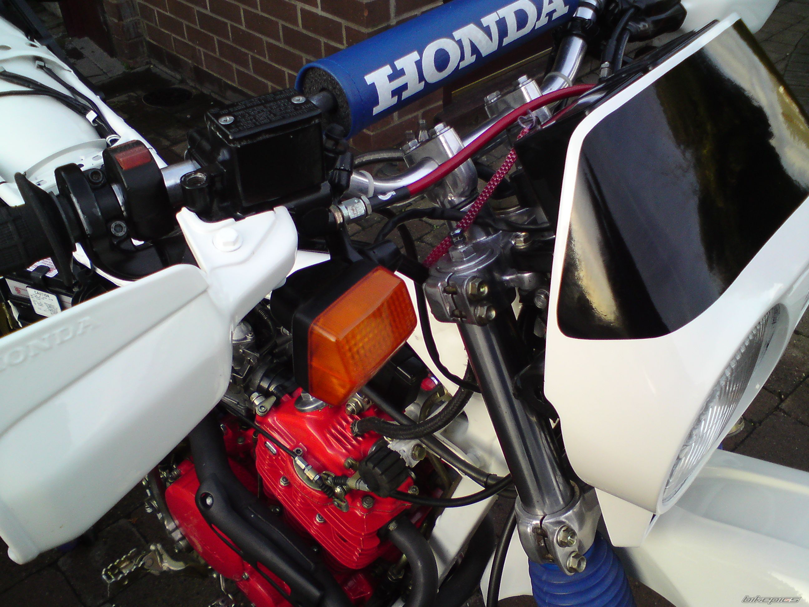 Photo 1554044