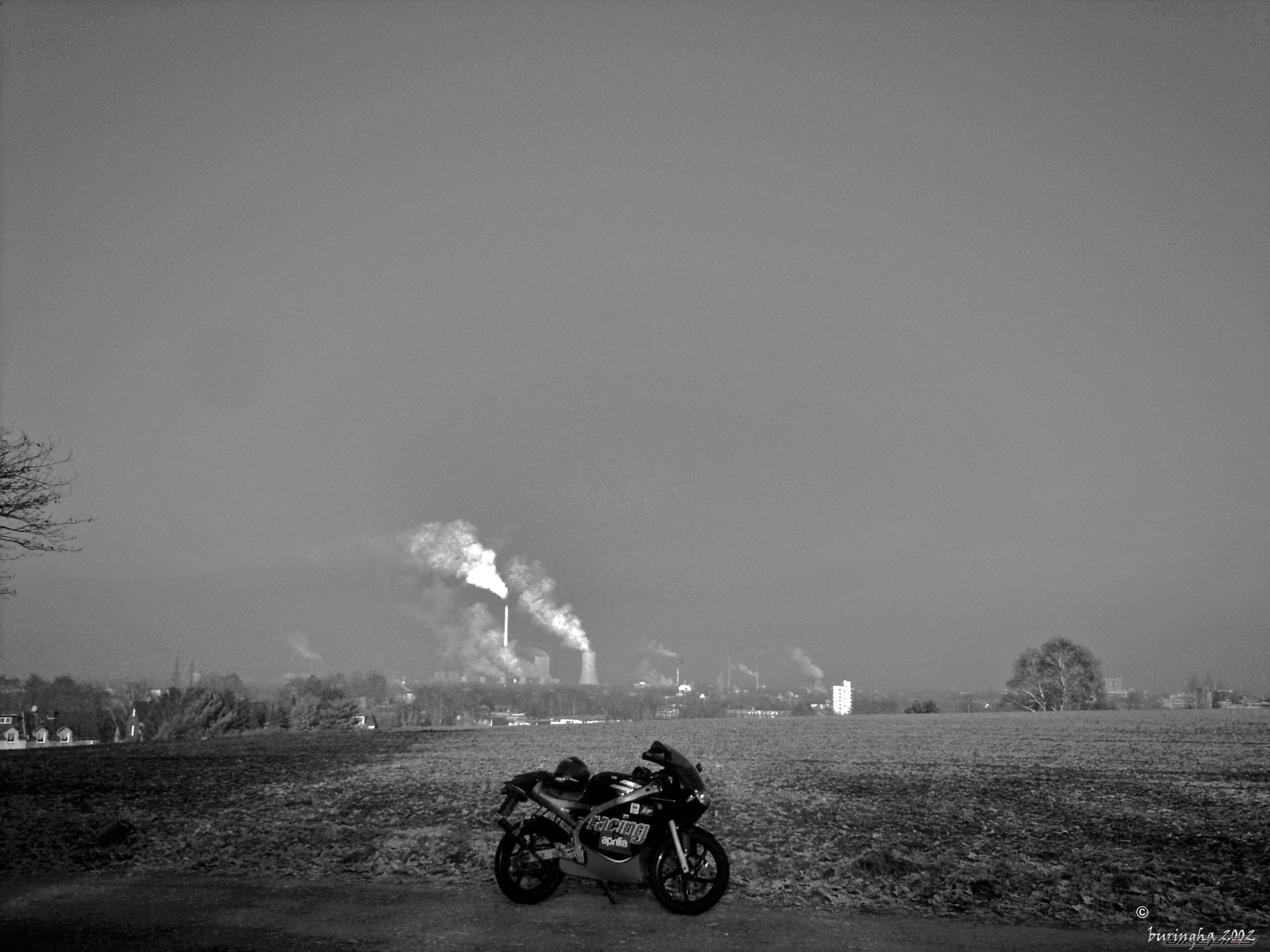 Photo 1554052