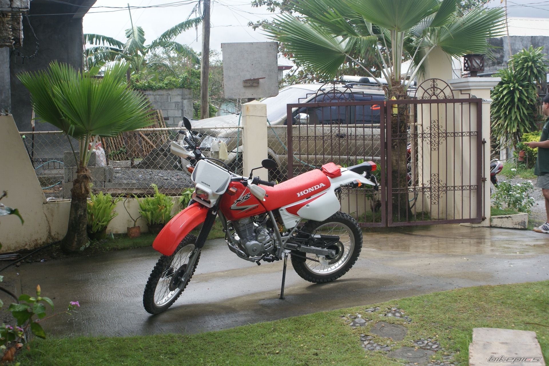 Photo 1554096
