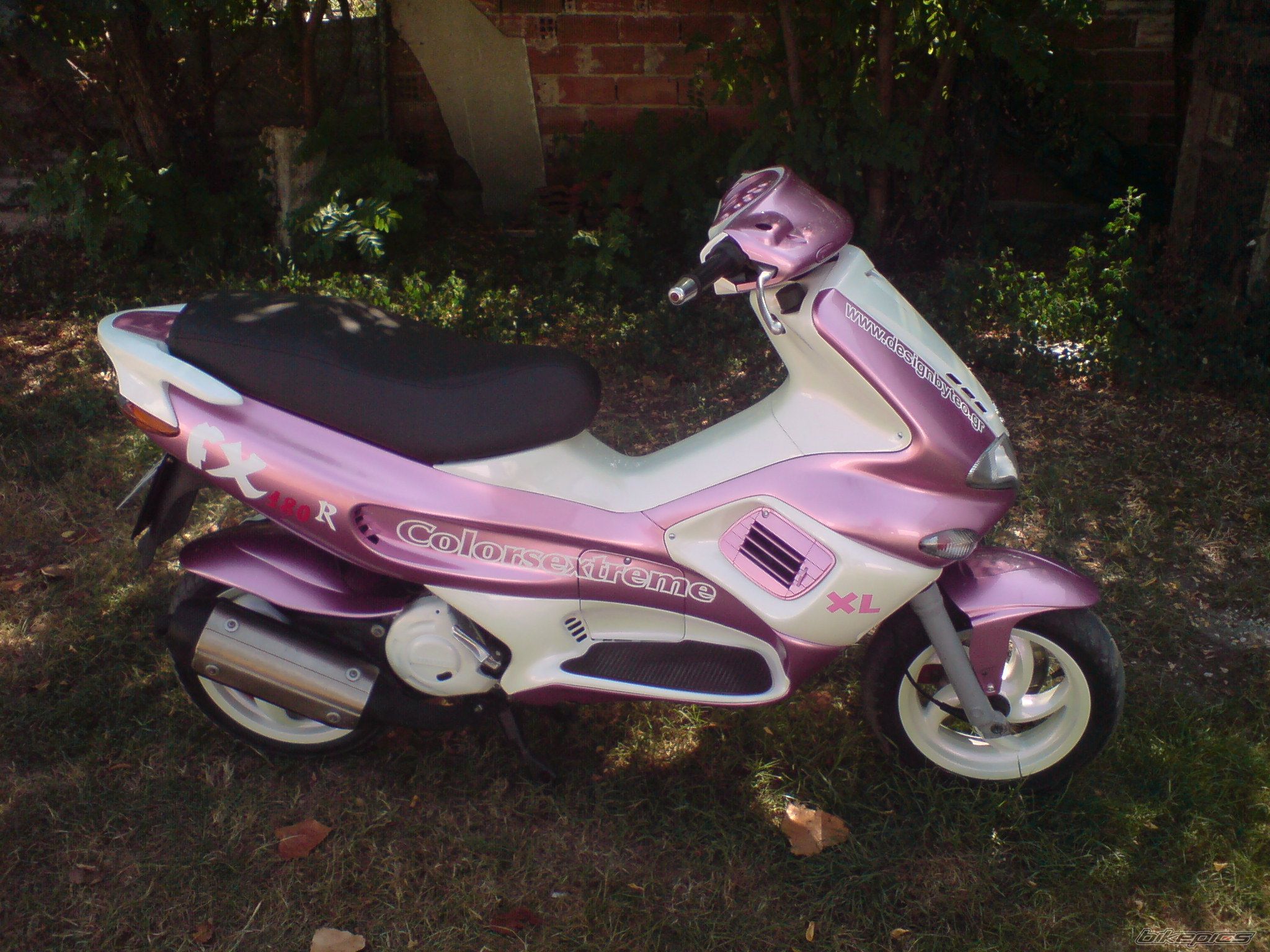 Photo 1554186