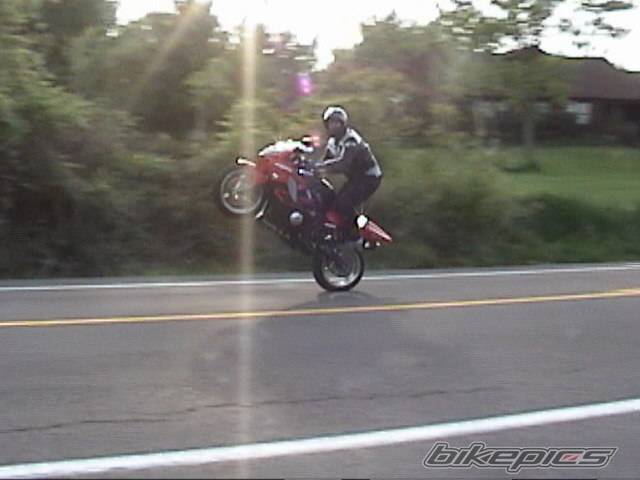 Photo 155419