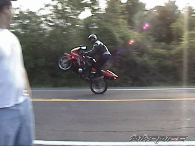 Photo 155420