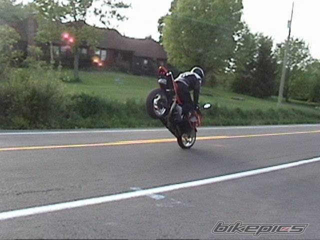 Photo 155421