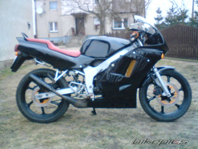 Photo 1554214