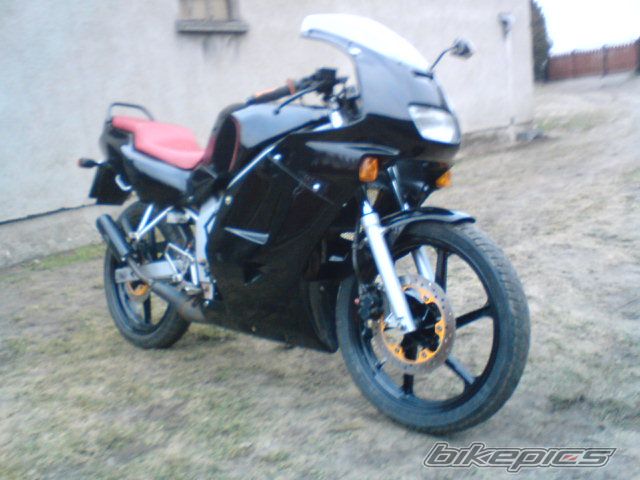 Photo 1554217