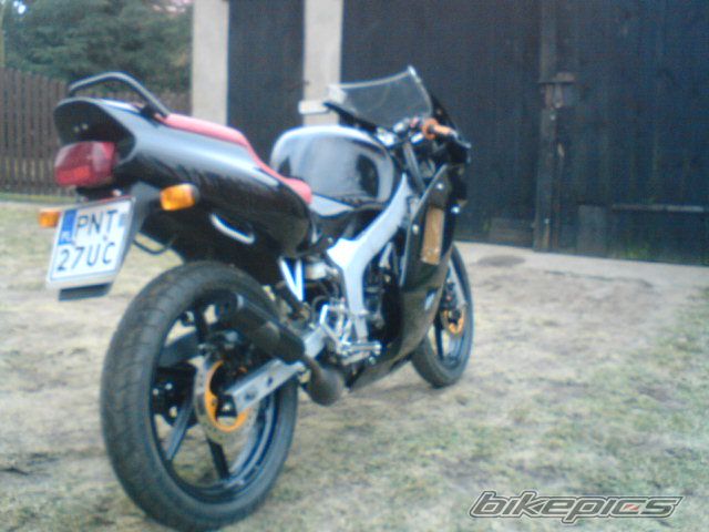 Photo 1554221