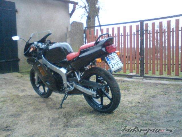 Photo 1554223
