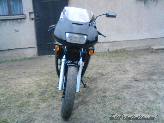 Photo 1554225