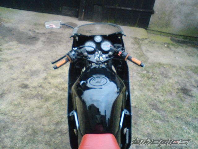 Photo 1554227
