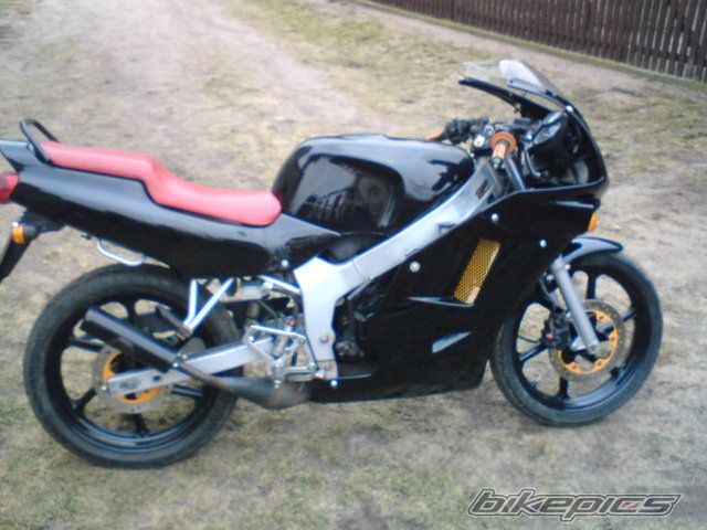 Photo 1554229