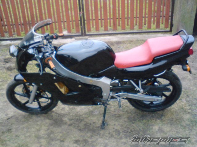 Photo 1554232