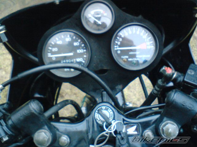 Photo 1554249