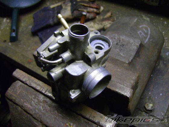 Photo 1554254