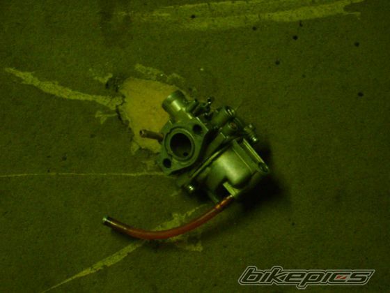 Photo 1554257