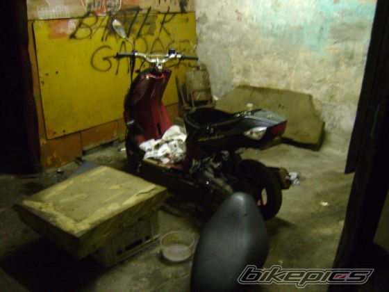 Photo 1554263