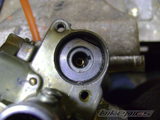 Photo 1554274